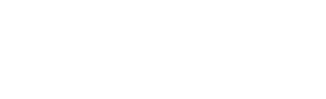 Hedgehog SEO Experts